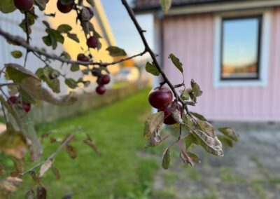 MED5NGWTGZ37ZS8CX6S6J