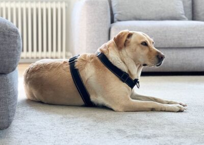 MED5NWXZBH37ZSXNPH365