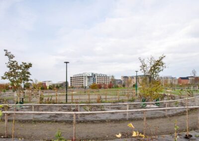 MED5NXNXJJ37ZSVRQ3L7T